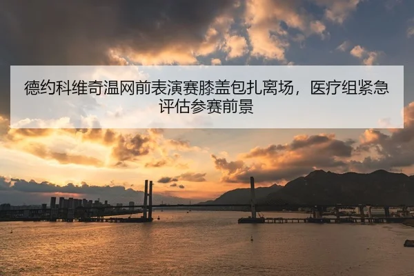 德约科维奇温网前表演赛膝盖包扎离场，医疗组紧急评估参赛前景 | Leyu